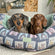 Dog Beds