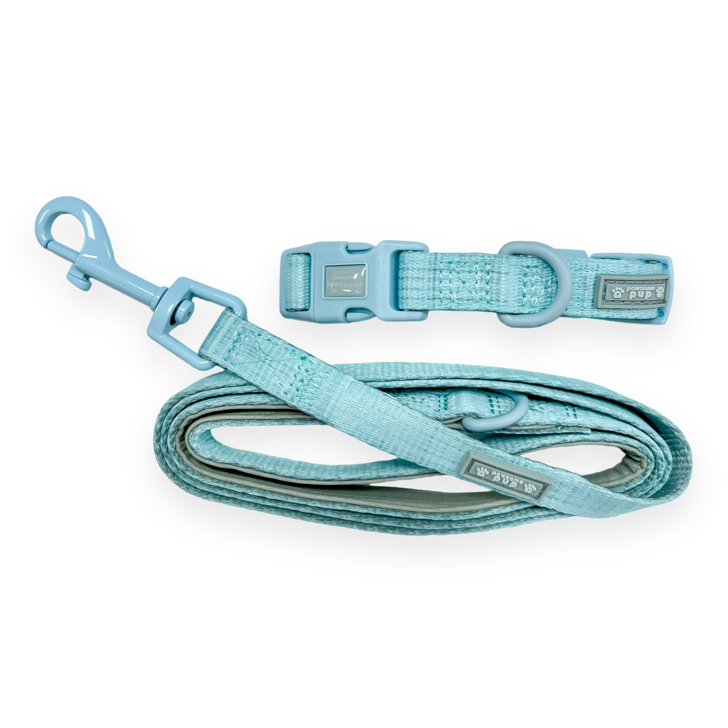 Pawsome Pup Collar and Lead Set - Mint