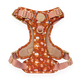 Disney© Tough Trails™ Harness - Gingerbread Bear